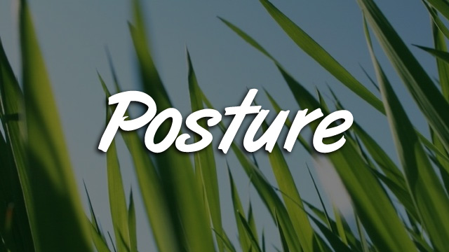 Posture