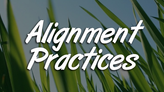 Alignment Practices